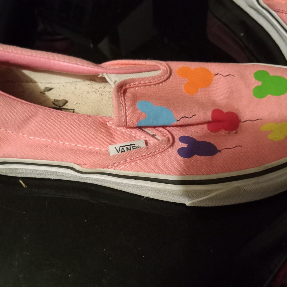 Custom vans - Picture 2 of 4
